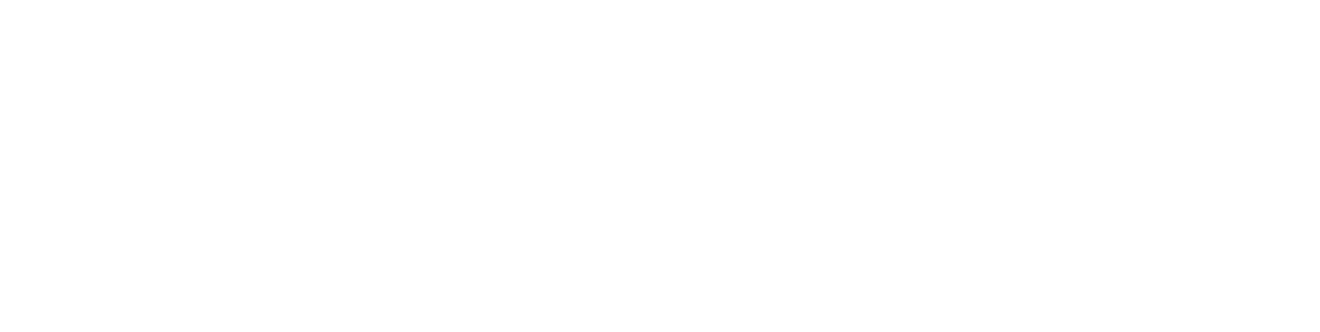 コンフィデンシャル 国際共助捜査
