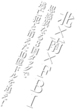 北×南×FBI思惑異なる3国タッグで逃亡犯と消えた10億ドルを追え！
