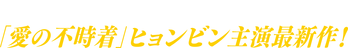 韓国5週連続No.1の大ヒット！！「愛の不時着」のヒョンビン主演最新作！