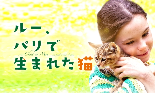 ルー、パリで生まれた猫