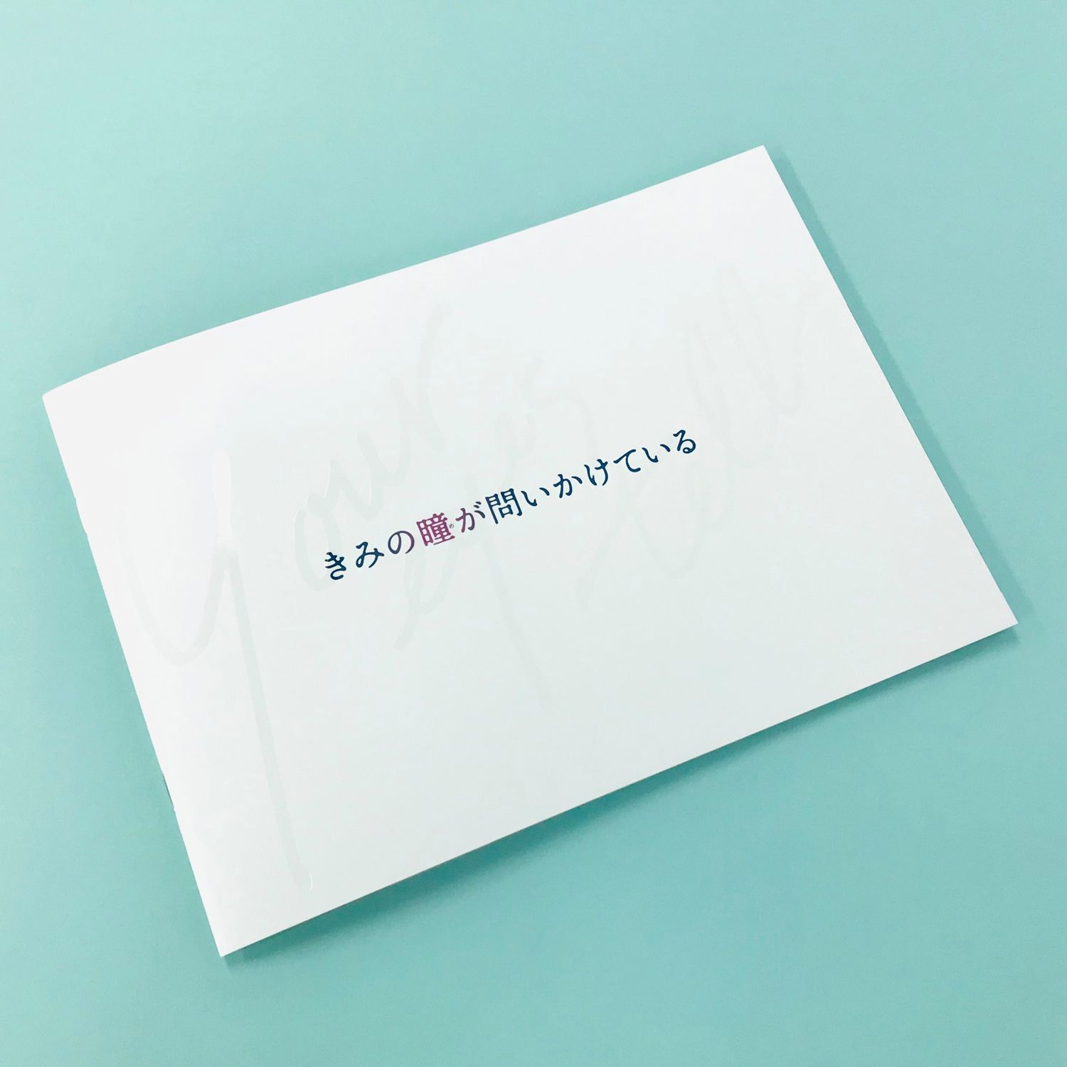 『きみの瞳が問いかけている』劇場用プログラム