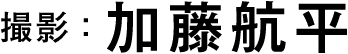 撮影：加藤航平