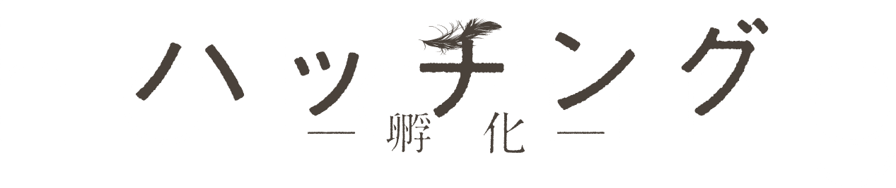 ハッチング ー孵化ー