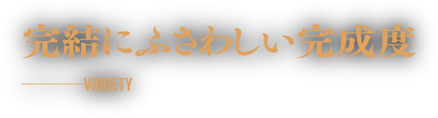 完結にふさわしい完成度-VARIETY