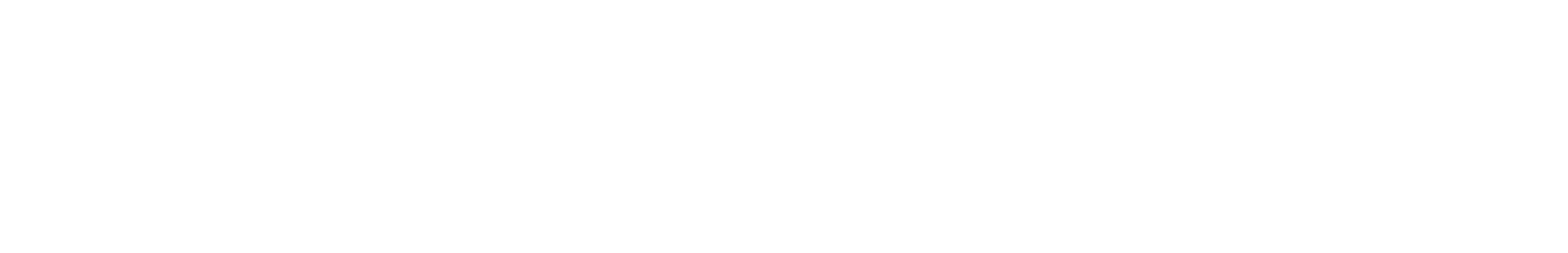舞台は米国、教え子ブルース・リーとの再会、残される息子への思い―　最後の戦いに挑む詠春拳の達人イップ・マンの有終の美。10年に渡る“イップ・マン”シリーズの集大成