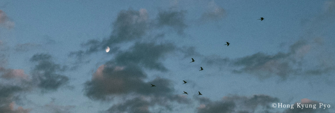 撮影監督 ホン・ギョンピョ Hong Kyung Pyo